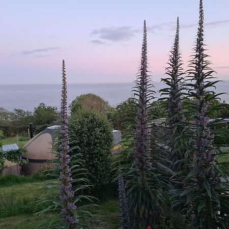 Puckaster Cove Cabin Niton 外观 照片