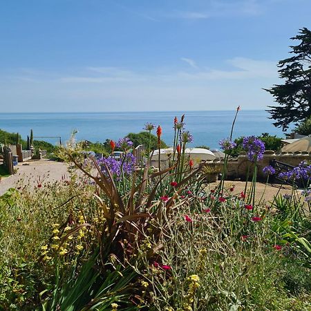 Puckaster Cove Cabin Niton 外观 照片