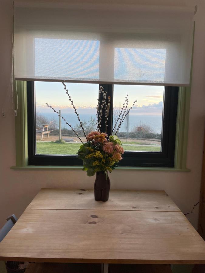 Puckaster Cove Cabin Niton 外观 照片