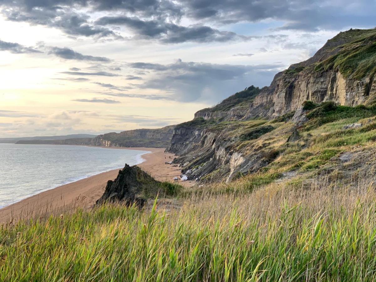 Puckaster Cove Cabin Niton 外观 照片